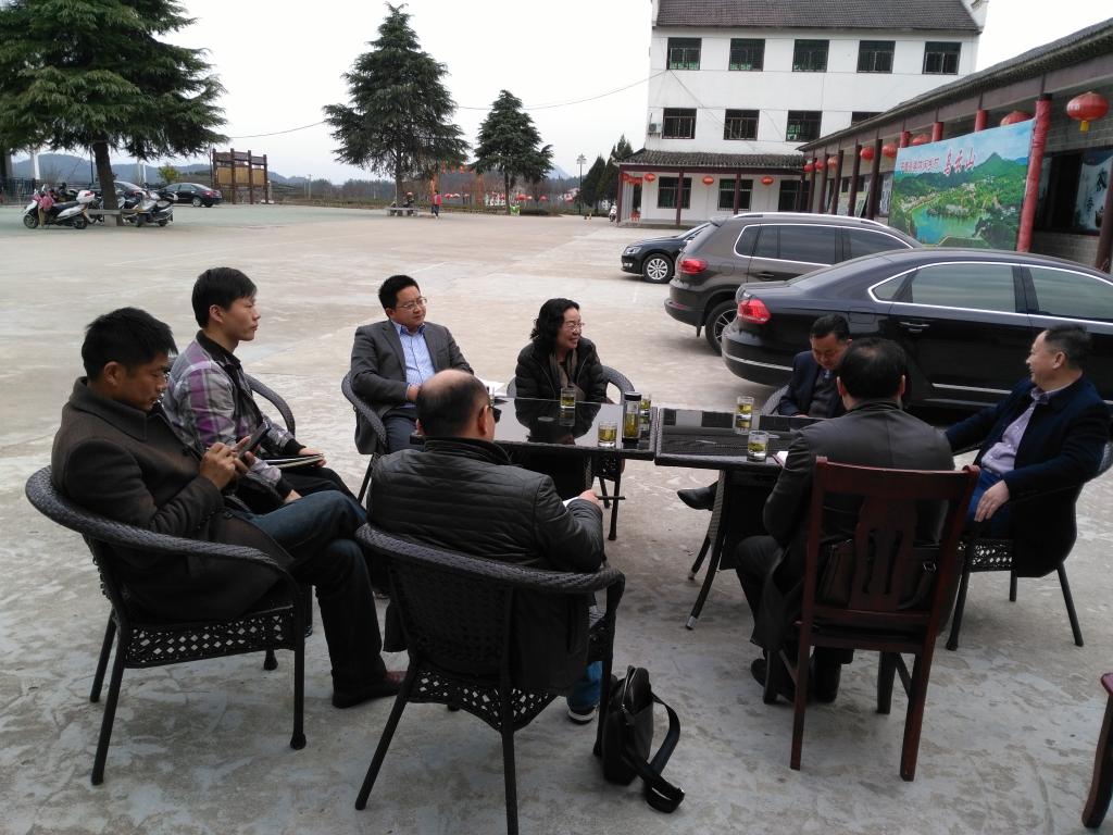 德赢官网“理论热点面对面”专家组赴乌云山村调研